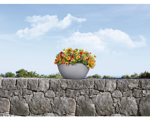 Blumentopf mit Blüten auf einer Steinmauer