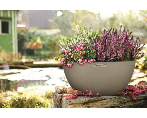 Beigefarbener Pflanzkübel mit Heidekraut und Schneebeeren im Außenbereich.