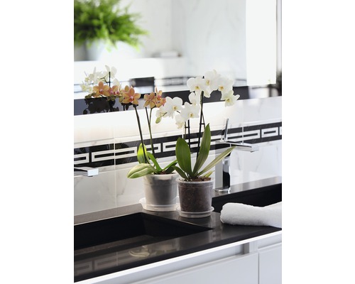 Zwei Orchideen in Töpfen auf einem Waschtisch im Badezimmer.