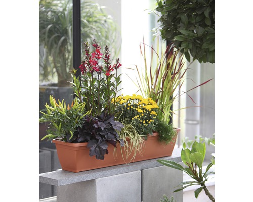 Blumenkasten bepflanzt mit verschiedenen Blumen und Gräsern