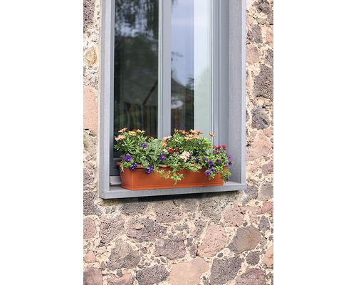 Fenster mit Blumenkasten und blühenden Pflanzen