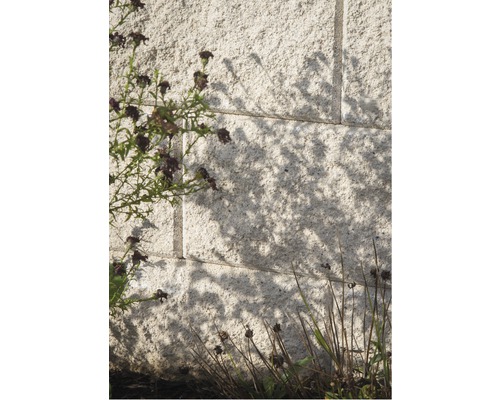 Mauer aus Stein mit Pflanzen und Schatten