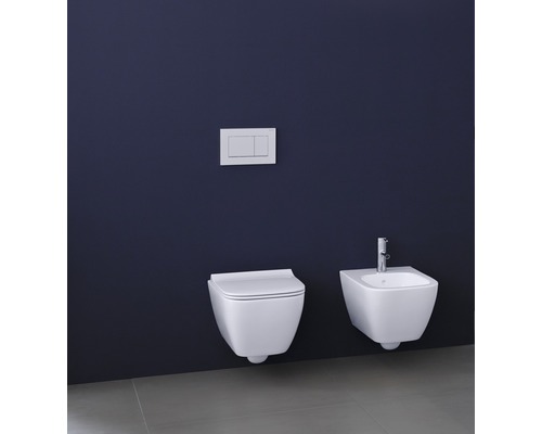 Wandhängendes WC und Bidet mit Spülkastenbetätigung in einem Badezimmer