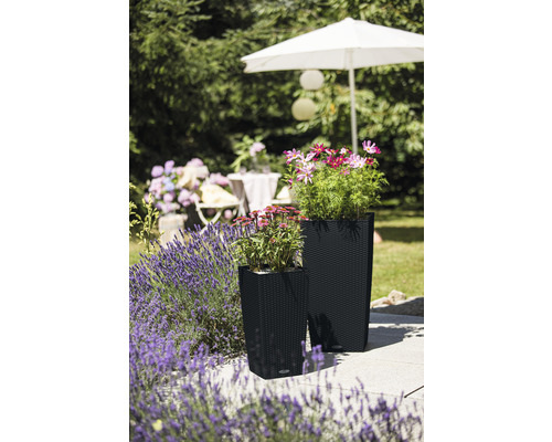 Zwei Pflanzkübel mit Pflanzen auf einer Terrasse