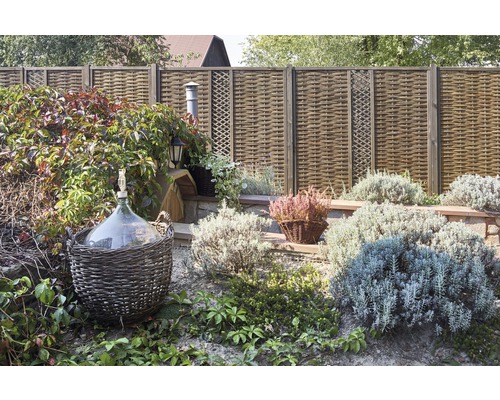 Gartenszene mit Weidezaun, Pflanzen und Korbflasche