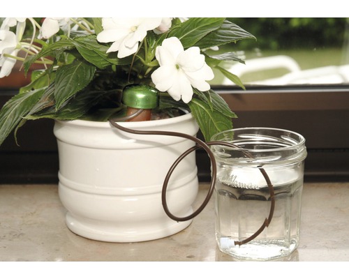 Bewässerungssystem für Pflanzen mit Wasserreservoir