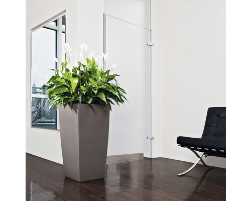 Innenraum mit hoher Pflanze im Pflanzgefäß, Sessel und Fenster