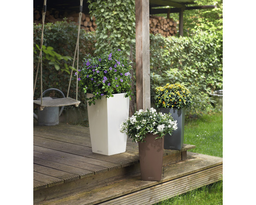 Drei Pflanzgefäße mit Pflanzen auf einer Holzterrasse