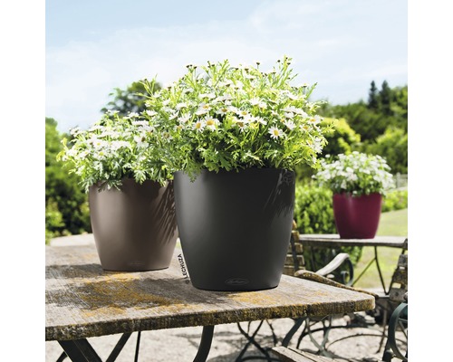 Drei Pflanzgefäße von Lechuza auf einem Gartentisch mit Gänseblümchen bepflanzt.