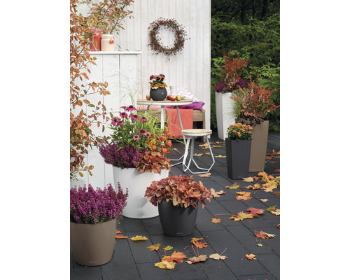 Terrasse mit Herbstblumen und Pflanzgefäßen in verschiedenen Formen und Größen.
