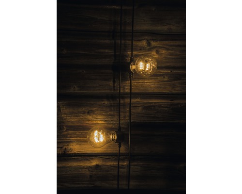 Zwei Edison-Glühbirnen an Kabeln vor einer Holzwand