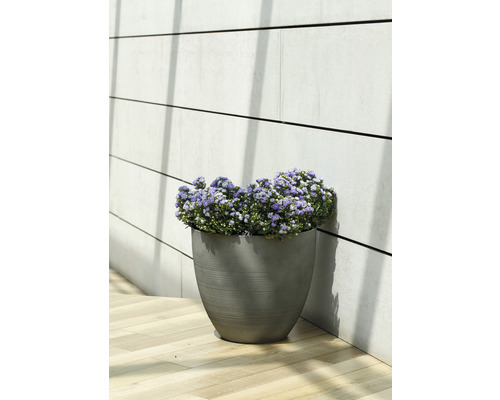 Blumentopf mit Blumen auf einer Terrasse