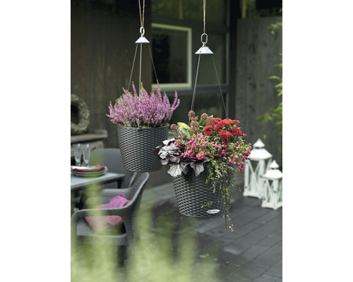 Zwei bepflanzte Hängeampeln mit Blumen im Außenbereich.