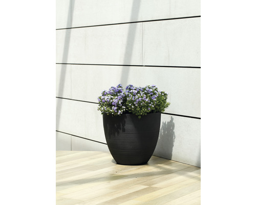 Schwarzer Pflanztopf mit lila Blüten auf einem Holzboden