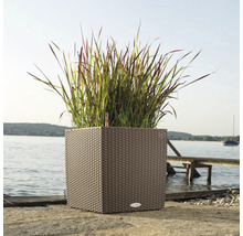 Quadratischer Pflanzkübel mit Pflanzen am See