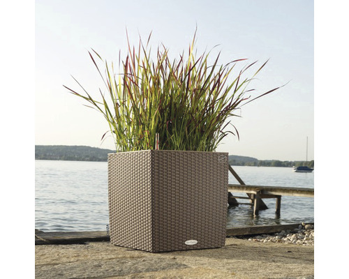 Quadratischer Pflanzkübel mit Pflanzen am See