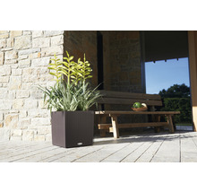 Quadratischer Pflanzkübel mit Pflanzen und Holzbank vor Steinwand