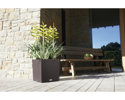 Quadratischer Pflanzkübel mit Pflanzen und Holzbank vor Steinwand