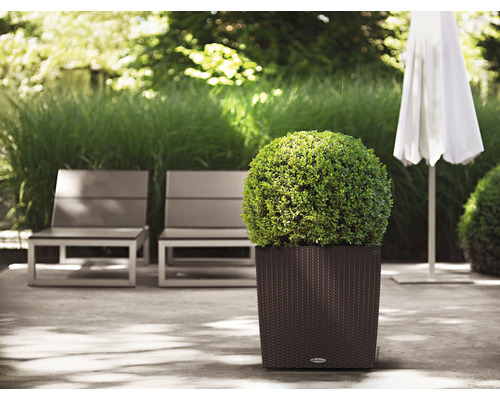 Dekorative Gartenszene mit Pflanzkübel und Bepflanzung, Gartenmöbeln und Sonnenschirm