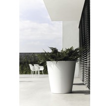 Hoher, weißer Pflanztopf mit Pflanze auf einer Terrasse.
