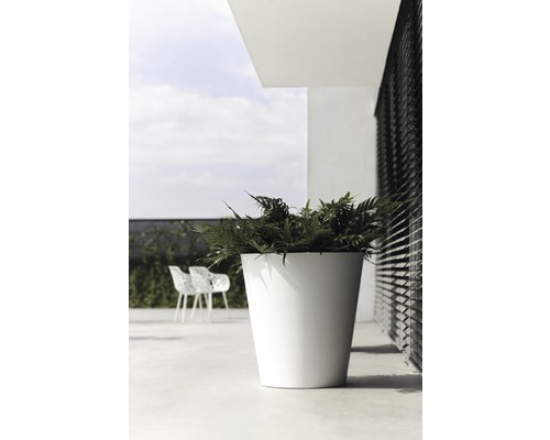 Hoher, weißer Pflanztopf mit Pflanze auf einer Terrasse.