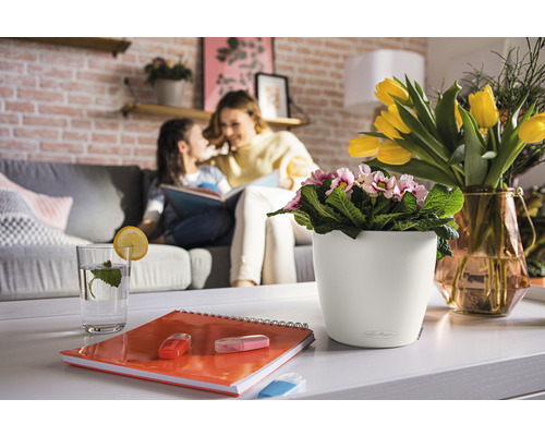 Szene eines Wohnzimmers mit Tischdekoration, bestehend aus einem Blumentopf mit blühenden Primeln, einer Vase mit Tulpen, einem Glas Wasser und einem Notizbuch.