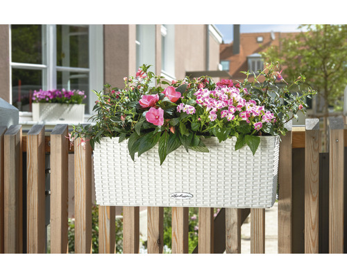 Balkonkasten aus Kunststoff mit bunten Blumen auf einem Holzbalkon