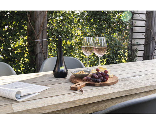 Szene mit einem Tisch im Freien, gedeckt mit Gläsern, Speisen und einem Fliegenabwehrgerät