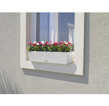 Fensterkasten mit Blumen auf Fensterbank