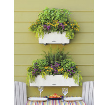 Zwei mit verschiedenen Kräutern und Blumen bepflanzte Blumenkästen an einer Wand über einem Tisch mit Gedeck.
