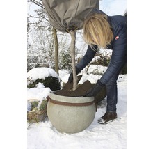 Frau pflanzt Baum mit Winterschutz in Pflanzgefäß im verschneiten Garten.