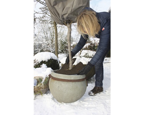 Frau pflanzt Baum mit Winterschutz in Pflanzgefäß im verschneiten Garten.