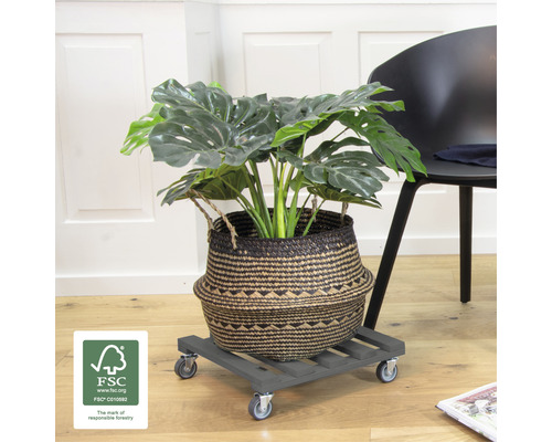 Zimmerpflanze in einem Korb auf einem Pflanzenroller mit Rollen und FSC-Siegel
