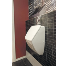 Weißes Urinal mit Deckel in einem Badezimmer mit Wandbild.