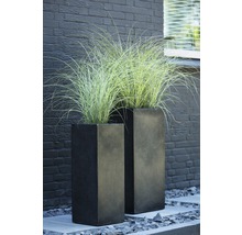 Zwei Pflanzkübel aus Steinzeug mit Ziergras vor einer Hauswand