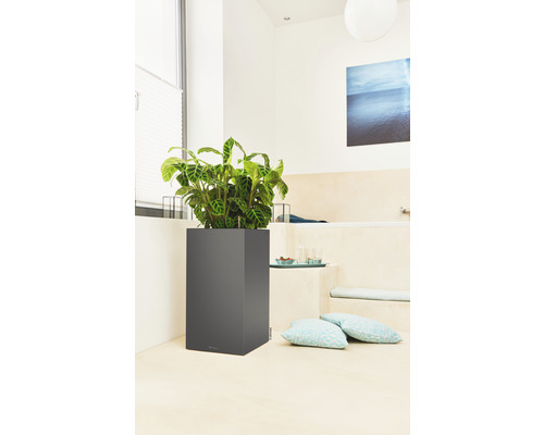 Pflanzen im viereckigen Pflanzgefäß im Badezimmer