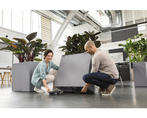 Personen bewegen einen Pflanzkübel mit Pflanzen mithilfe eines Möbelrollers.