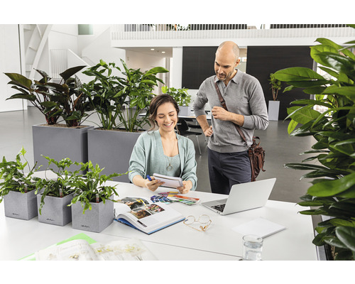 Helles Büro mit Frau und Mann an einem Schreibtisch mit Pflanzen in Pflanzgefäßen.