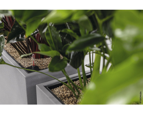 Nahaufnahme von Pflanzgefäßen mit Pflanzen und einem Wasserstandsanzeiger