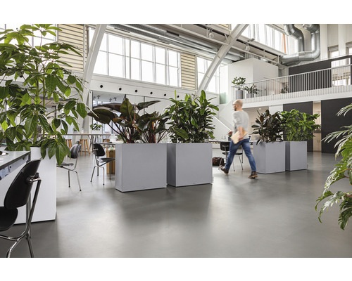 Innenraum mit Büropflanzen in Pflanzgefäßen und einer Person