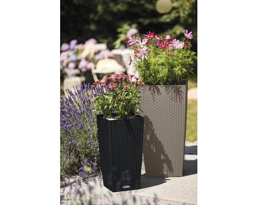 Zwei Pflanzgefäße mit Pflanzen im Garten.