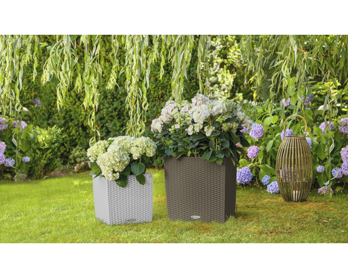 Zwei Pflanzgefäße mit Pflanzen und eine Laterne im Garten.