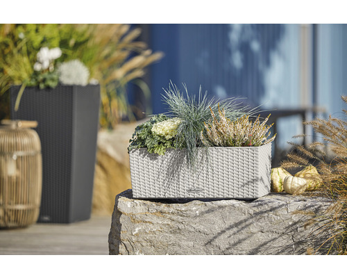 Dekorative Pflanzgefäße im Gartenambiente.