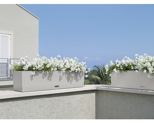 Zwei bepflanzte Blumenkästen im Außenbereich