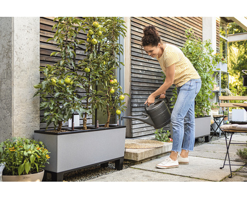 Frau gießt Apfelbäume in einem Pflanzkasten im Garten