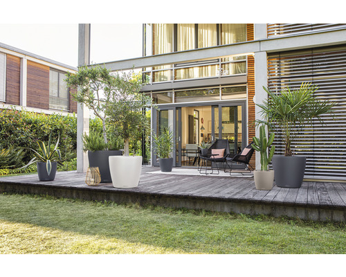 Außenbereich mit Pflanzen in Pflanzgefäßen auf einer Terrasse