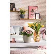 Blumentopf Lechuza Classico Color Ø 18 cm sandbraun