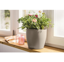 Blumentopf Lechuza Classico Color Ø 18 cm sandbraun