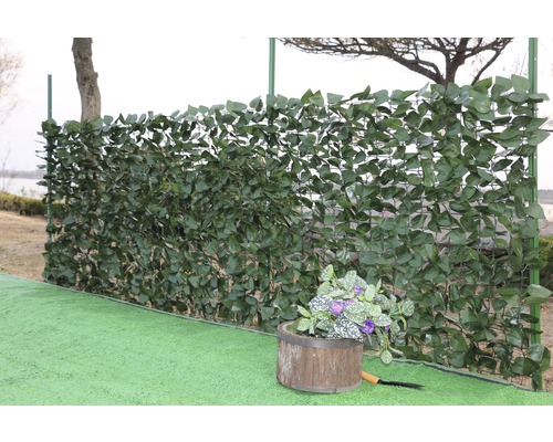 Gartenzaun mit grünen Blättern und einem Pflanzgefäß im Garten