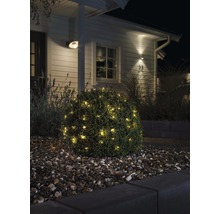 Dekorativer Busch mit Lichterkette im Garten vor dem Haus.